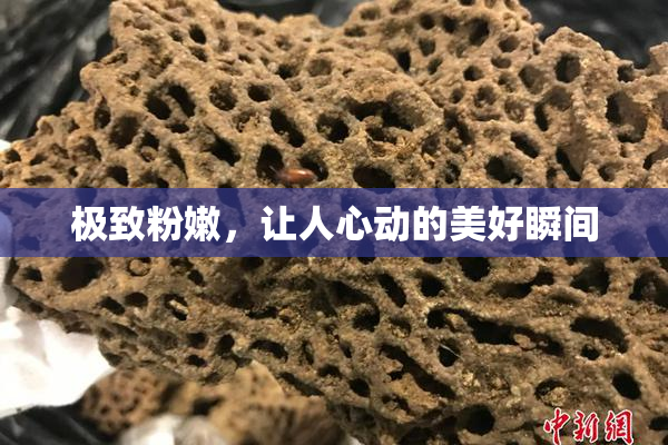 极致粉嫩，让人心动的美好瞬间