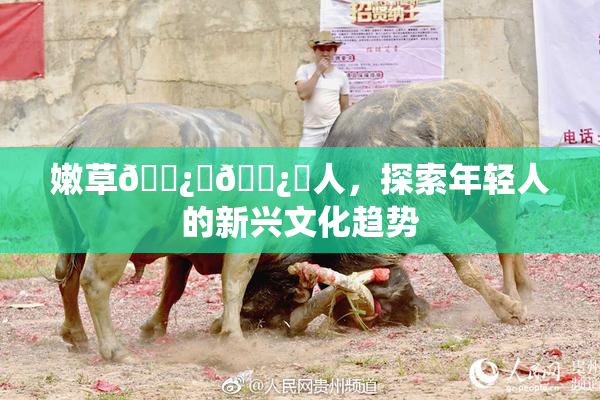 嫩草🌿‌🌿‌人，探索年轻人的新兴文化趋势