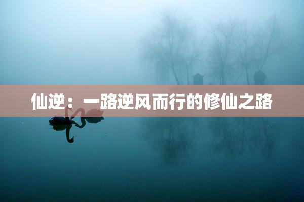仙逆：一路逆风而行的修仙之路