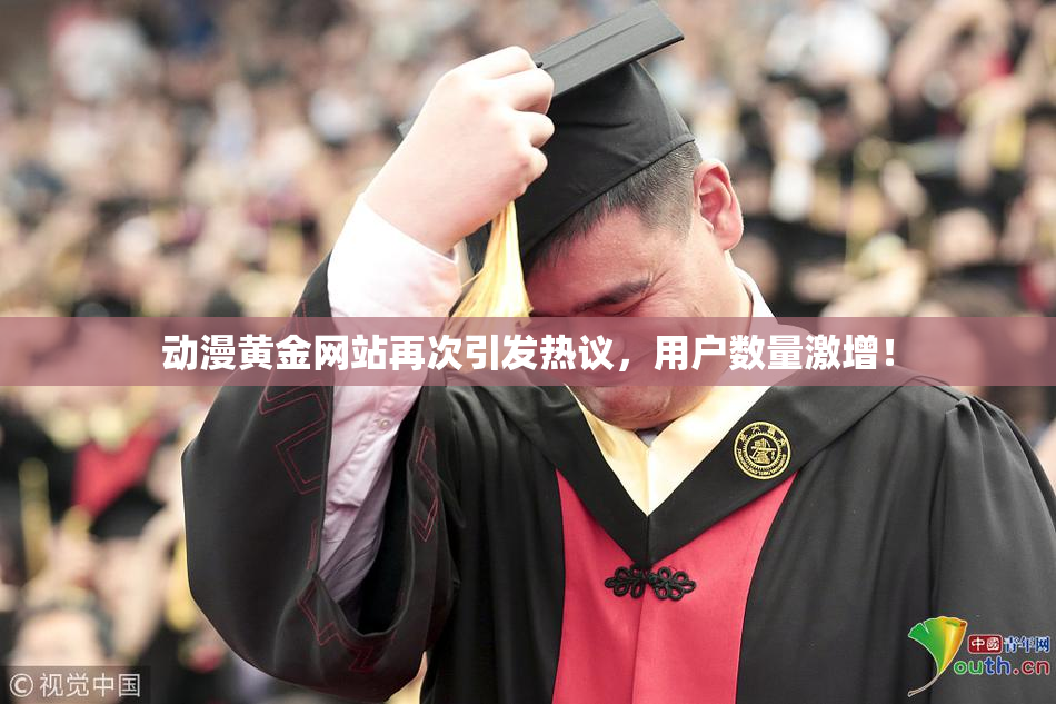 动漫黄金网站再次引发热议，用户数量激增！