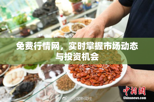 免费行情网，实时掌握市场动态与投资机会