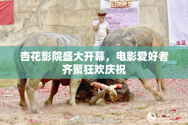 杏花影院盛大开幕，电影爱好者齐聚狂欢庆祝
