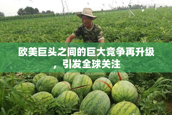欧美巨头之间的巨大竞争再升级，引发全球关注