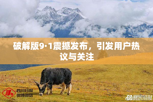 破解版9·1震撼发布，引发用户热议与关注