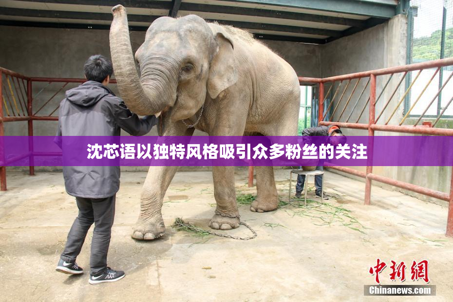 沈芯语以独特风格吸引众多粉丝的关注