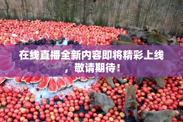 在线直播全新内容即将精彩上线，敬请期待！