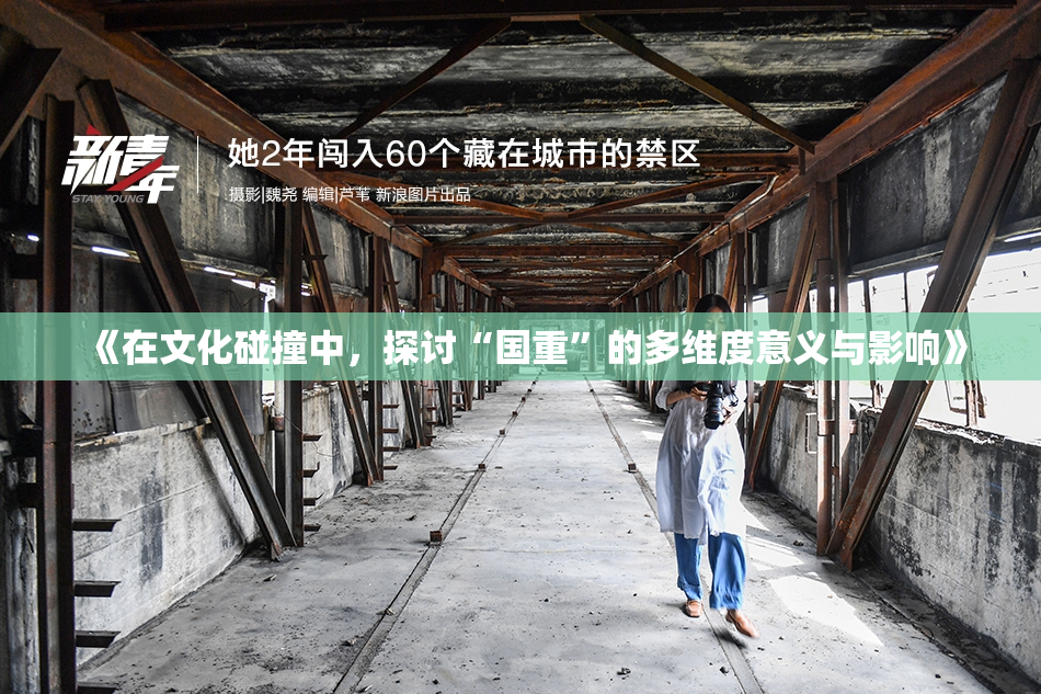 《在文化碰撞中，探讨“国重”的多维度意义与影响》