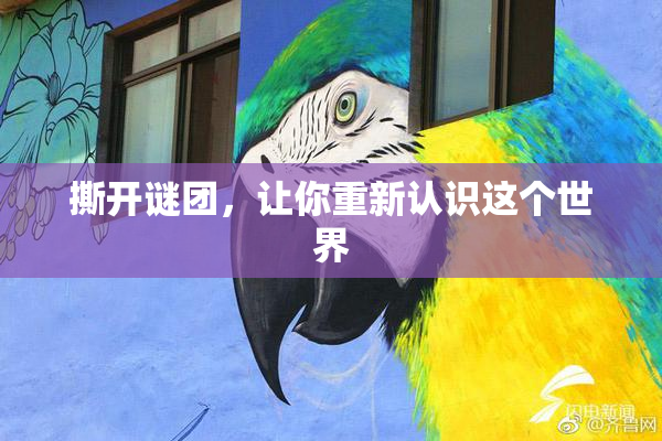 撕开谜团，让你重新认识这个世界