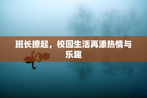 班长撩起，校园生活再添热情与乐趣