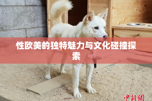 性欧美的独特魅力与文化碰撞探索