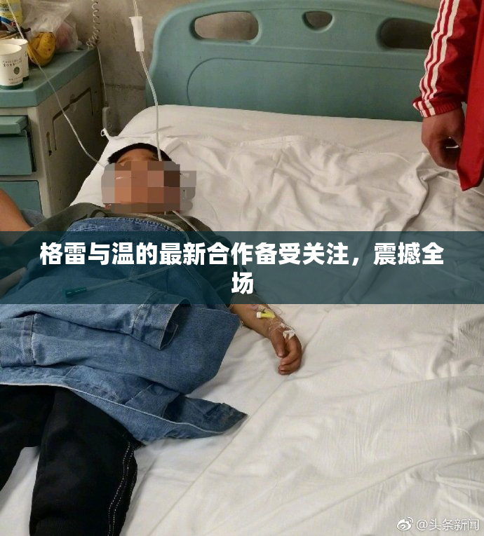 格雷与温的最新合作备受关注，震撼全场