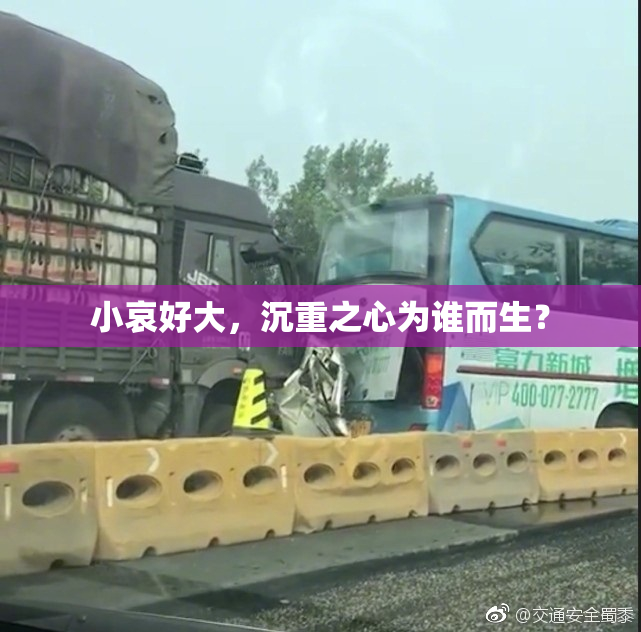 小哀好大，沉重之心为谁而生？