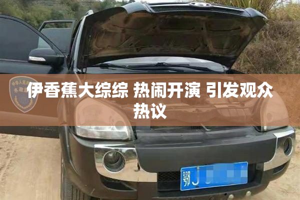 伊香蕉大综综 热闹开演 引发观众热议