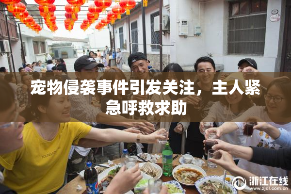 宠物侵袭事件引发关注，主人紧急呼救求助