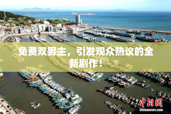 免费双男主，引发观众热议的全新剧作！