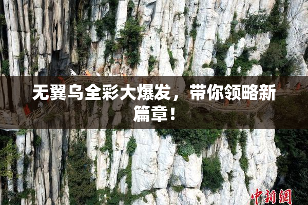 无翼乌全彩大爆发，带你领略新篇章！