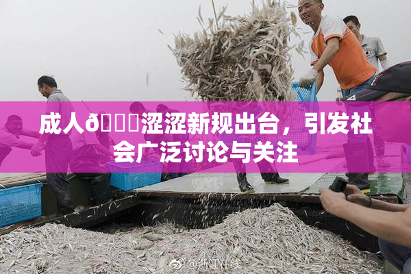 成人🔞涩涩新规出台，引发社会广泛讨论与关注