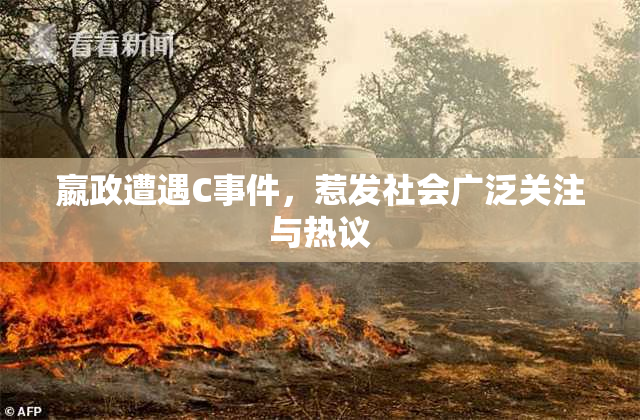 嬴政遭遇C事件，惹发社会广泛关注与热议