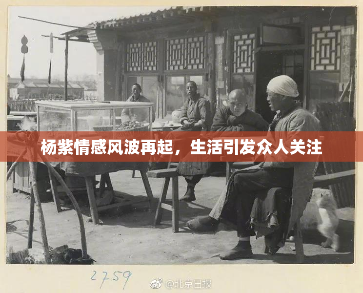 杨紫情感风波再起，生活引发众人关注
