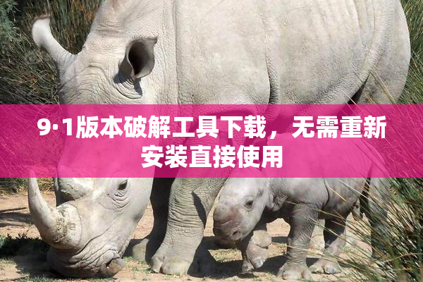 9·1版本破解工具下载，无需重新安装直接使用