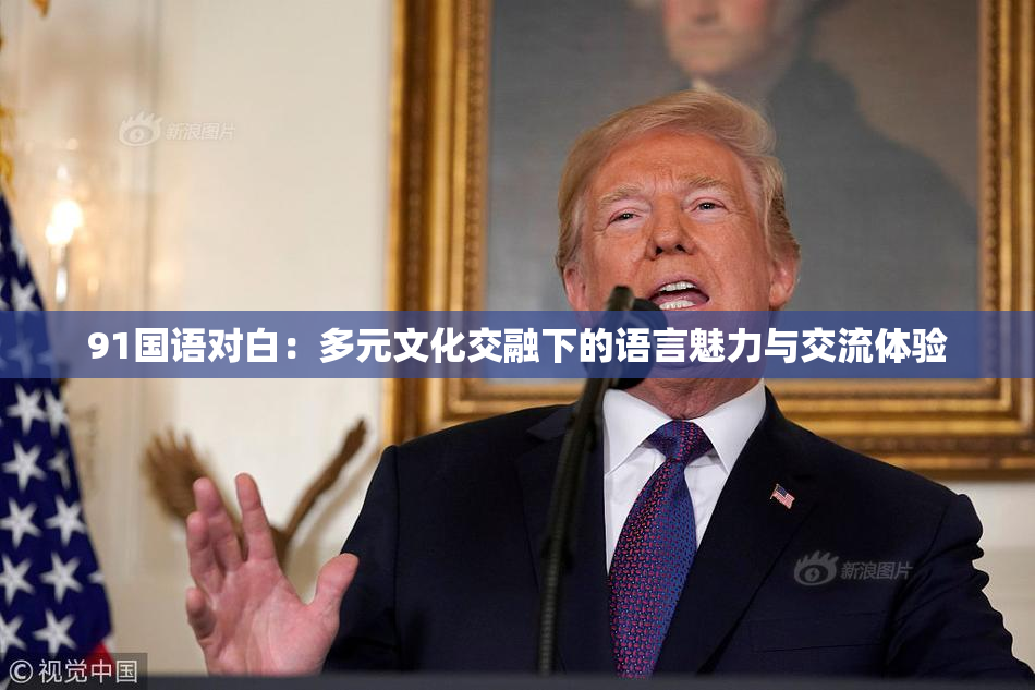 91国语对白：多元文化交融下的语言魅力与交流体验