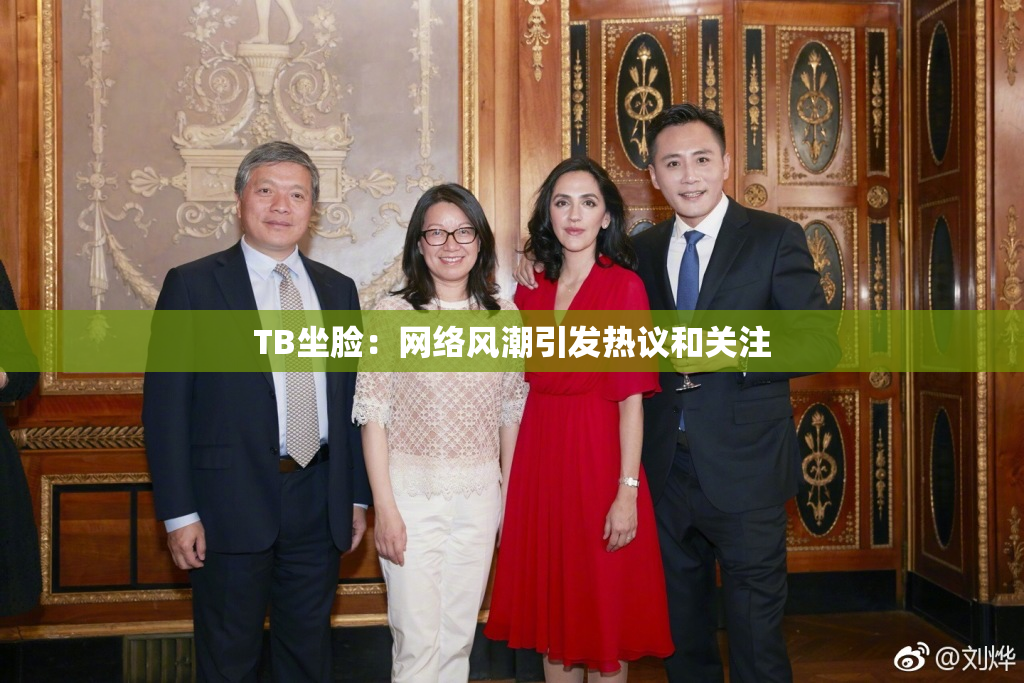 TB坐脸：网络风潮引发热议和关注