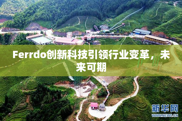 Ferrdo创新科技引领行业变革，未来可期
