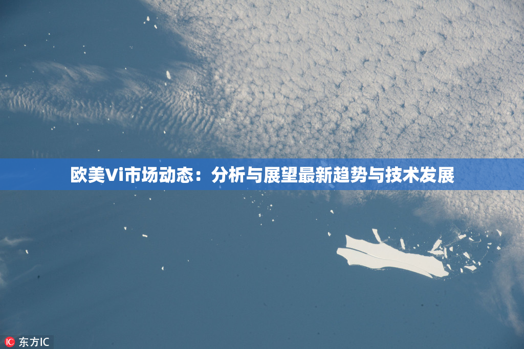 欧美Vi市场动态：分析与展望最新趋势与技术发展