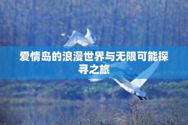 爱情岛的浪漫世界与无限可能探寻之旅