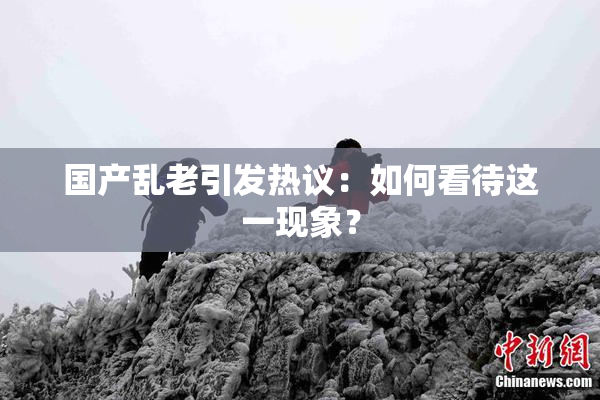 国产乱老引发热议：如何看待这一现象？