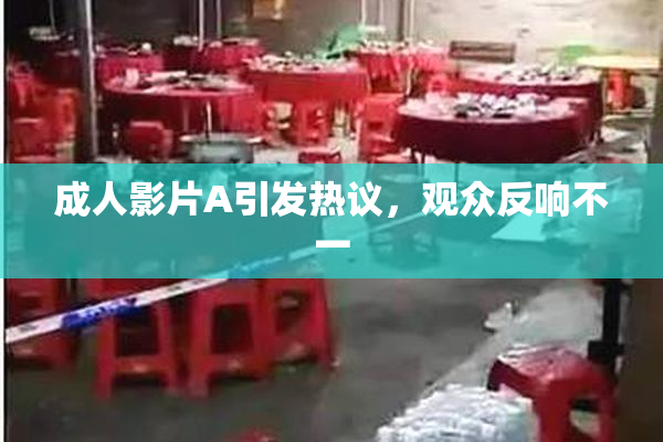 成人影片A引发热议，观众反响不一
