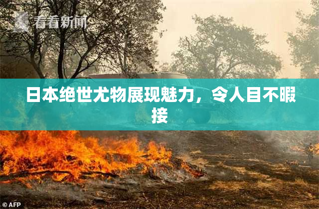 日本绝世尤物展现魅力，令人目不暇接