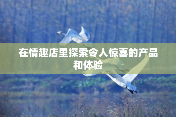 在情趣店里探索令人惊喜的产品和体验