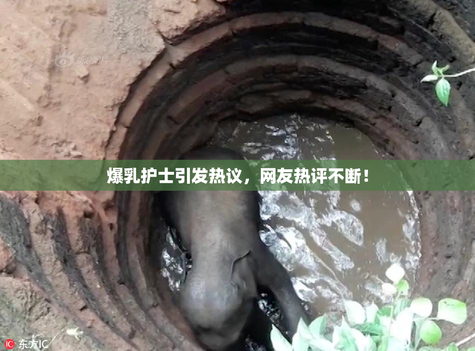 爆乳护士引发热议，网友热评不断！