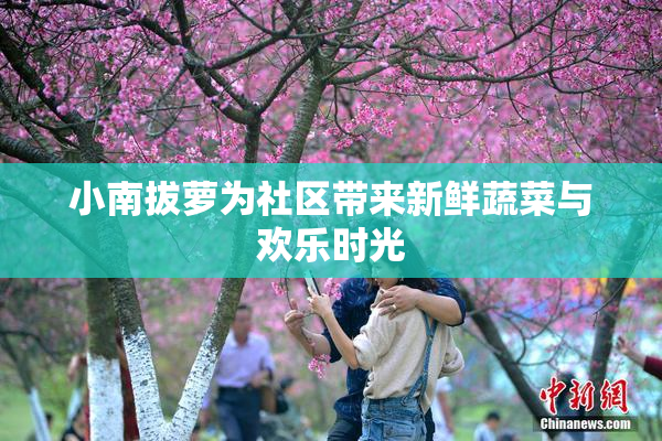 小南拔萝为社区带来新鲜蔬菜与欢乐时光