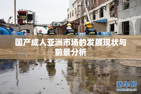 国产成人亚洲市场的发展现状与前景分析