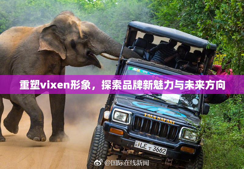 重塑vixen形象，探索品牌新魅力与未来方向