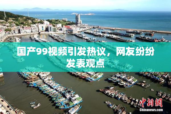 国产99视频引发热议，网友纷纷发表观点