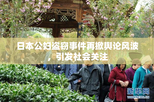日本公妇盗窃事件再掀舆论风波，引发社会关注