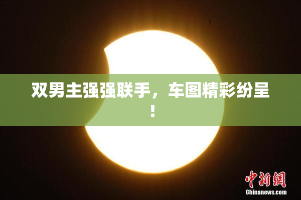 双男主强强联手，车图精彩纷呈！