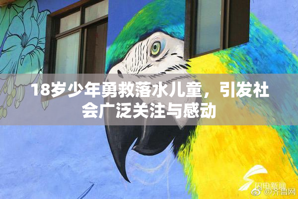 18岁少年勇救落水儿童，引发社会广泛关注与感动