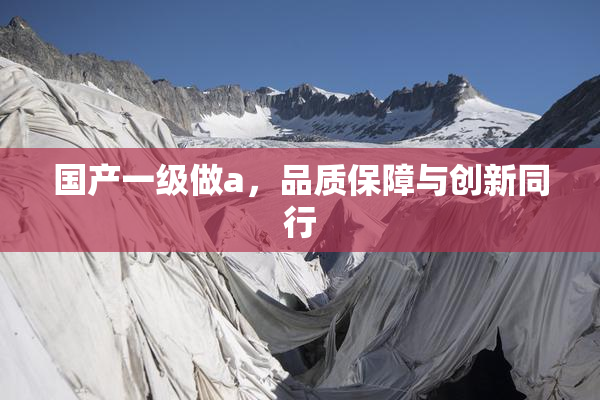 国产一级做a，品质保障与创新同行