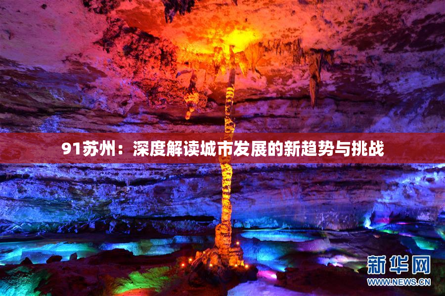 91苏州：深度解读城市发展的新趋势与挑战