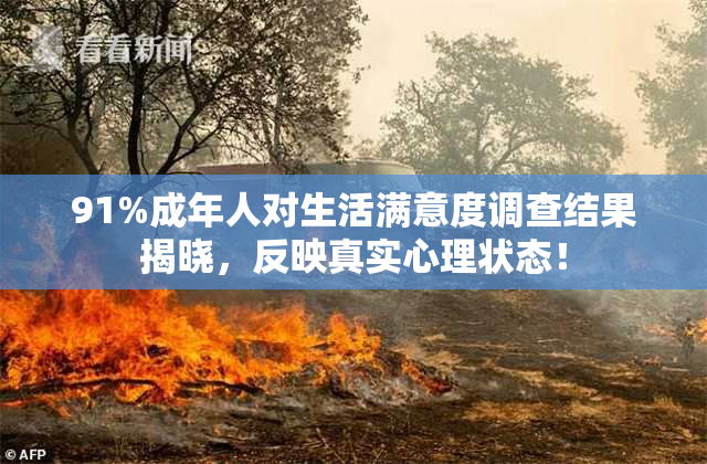 91%成年人对生活满意度调查结果揭晓，反映真实心理状态！