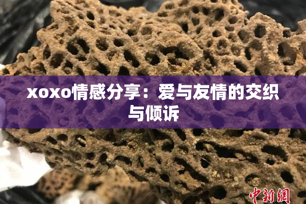 xoxo情感分享：爱与友情的交织与倾诉
