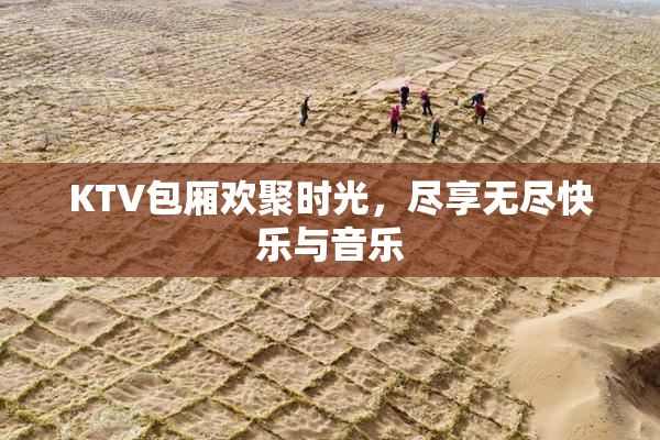 KTV包厢欢聚时光，尽享无尽快乐与音乐
