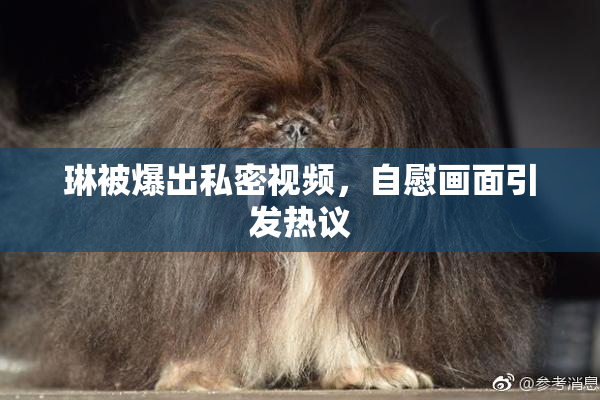 琳被爆出私密视频，自慰画面引发热议