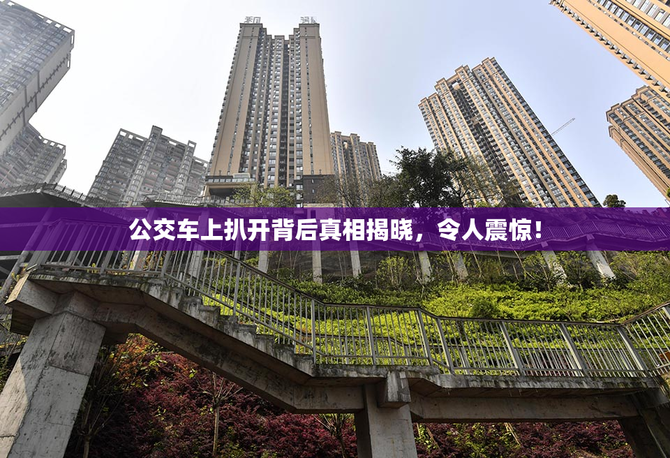 公交车上扒开背后真相揭晓，令人震惊！