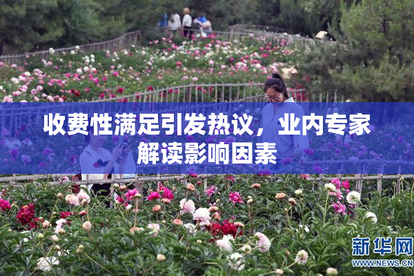 收费性满足引发热议，业内专家解读影响因素