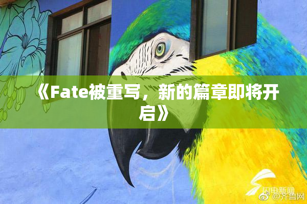 《Fate被重写，新的篇章即将开启》